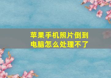 苹果手机照片倒到电脑怎么处理不了