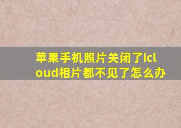 苹果手机照片关闭了icloud相片都不见了怎么办