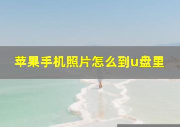 苹果手机照片怎么到u盘里