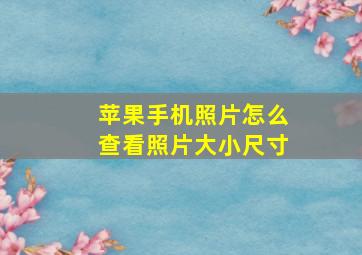 苹果手机照片怎么查看照片大小尺寸