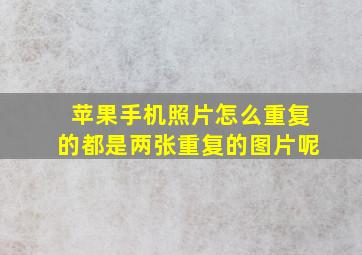 苹果手机照片怎么重复的都是两张重复的图片呢