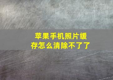 苹果手机照片缓存怎么清除不了了