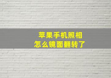 苹果手机照相怎么镜面翻转了