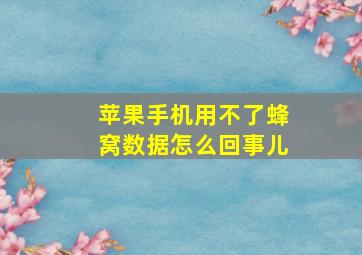 苹果手机用不了蜂窝数据怎么回事儿