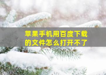 苹果手机用百度下载的文件怎么打开不了