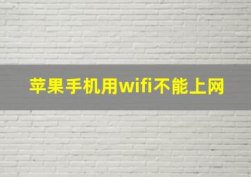 苹果手机用wifi不能上网