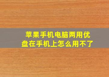 苹果手机电脑两用优盘在手机上怎么用不了