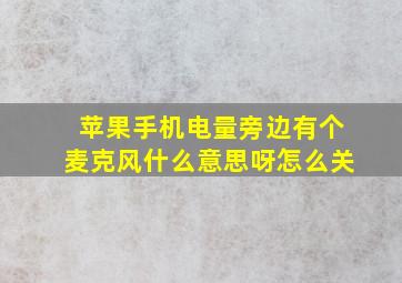 苹果手机电量旁边有个麦克风什么意思呀怎么关