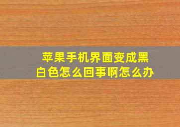 苹果手机界面变成黑白色怎么回事啊怎么办