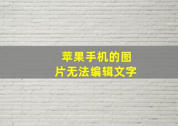 苹果手机的图片无法编辑文字