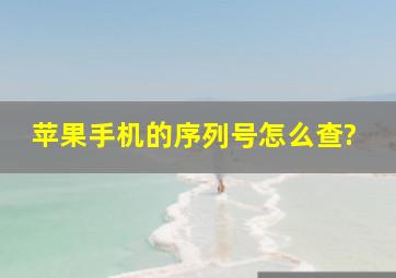 苹果手机的序列号怎么查?