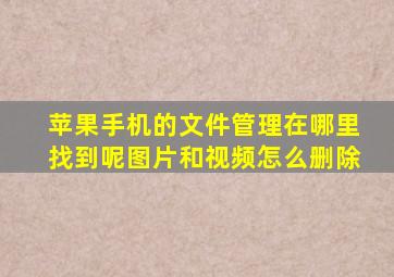 苹果手机的文件管理在哪里找到呢图片和视频怎么删除