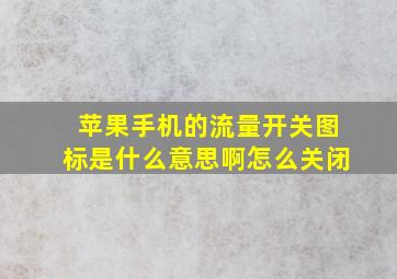 苹果手机的流量开关图标是什么意思啊怎么关闭