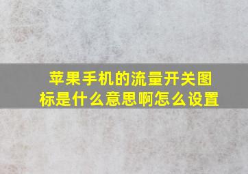 苹果手机的流量开关图标是什么意思啊怎么设置