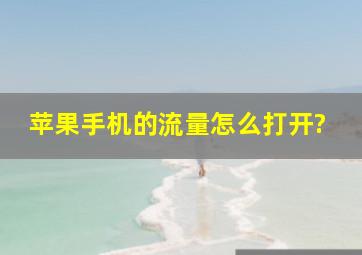 苹果手机的流量怎么打开?