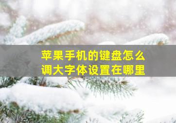 苹果手机的键盘怎么调大字体设置在哪里