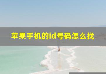 苹果手机的id号码怎么找