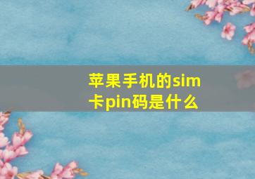 苹果手机的sim卡pin码是什么