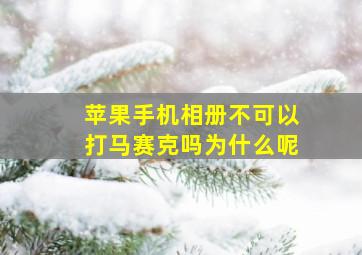 苹果手机相册不可以打马赛克吗为什么呢