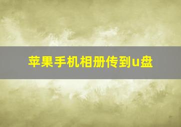 苹果手机相册传到u盘