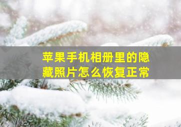 苹果手机相册里的隐藏照片怎么恢复正常