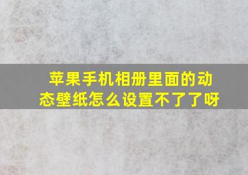 苹果手机相册里面的动态壁纸怎么设置不了了呀