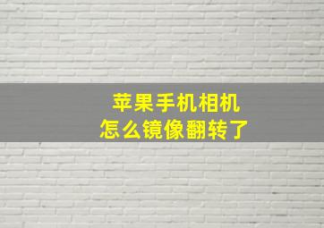 苹果手机相机怎么镜像翻转了