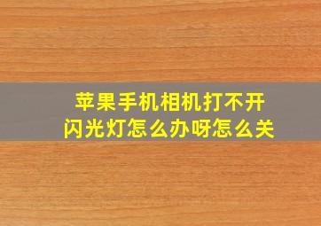 苹果手机相机打不开闪光灯怎么办呀怎么关