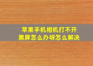 苹果手机相机打不开黑屏怎么办呀怎么解决