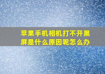 苹果手机相机打不开黑屏是什么原因呢怎么办