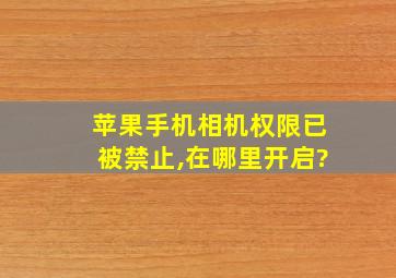 苹果手机相机权限已被禁止,在哪里开启?