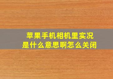 苹果手机相机里实况是什么意思啊怎么关闭