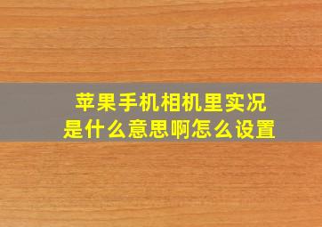 苹果手机相机里实况是什么意思啊怎么设置