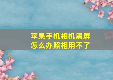 苹果手机相机黑屏怎么办照相用不了