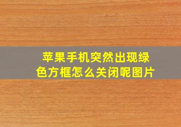 苹果手机突然出现绿色方框怎么关闭呢图片