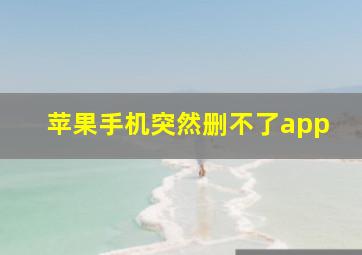 苹果手机突然删不了app