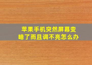 苹果手机突然屏幕变暗了而且调不亮怎么办