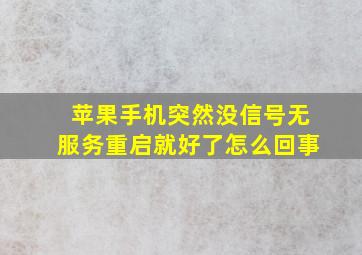 苹果手机突然没信号无服务重启就好了怎么回事