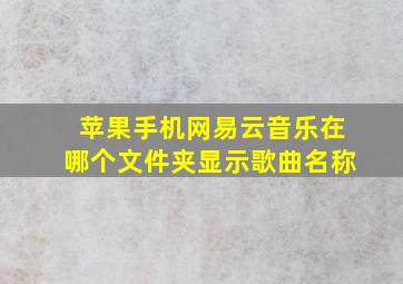 苹果手机网易云音乐在哪个文件夹显示歌曲名称