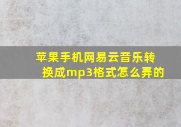 苹果手机网易云音乐转换成mp3格式怎么弄的