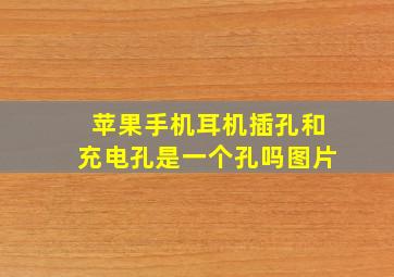 苹果手机耳机插孔和充电孔是一个孔吗图片