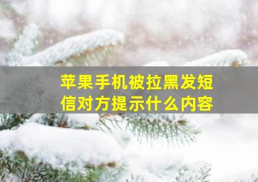 苹果手机被拉黑发短信对方提示什么内容