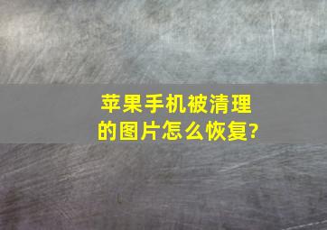 苹果手机被清理的图片怎么恢复?