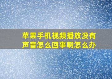 苹果手机视频播放没有声音怎么回事啊怎么办