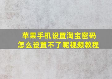 苹果手机设置淘宝密码怎么设置不了呢视频教程