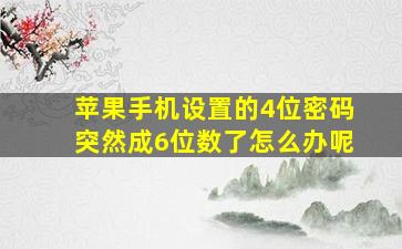 苹果手机设置的4位密码突然成6位数了怎么办呢