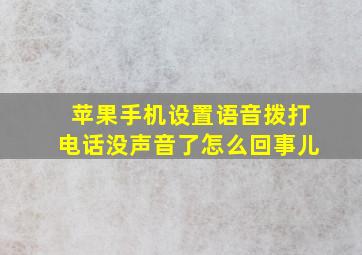 苹果手机设置语音拨打电话没声音了怎么回事儿