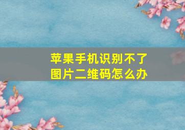 苹果手机识别不了图片二维码怎么办