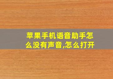 苹果手机语音助手怎么没有声音,怎么打开