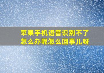 苹果手机语音识别不了怎么办呢怎么回事儿呀